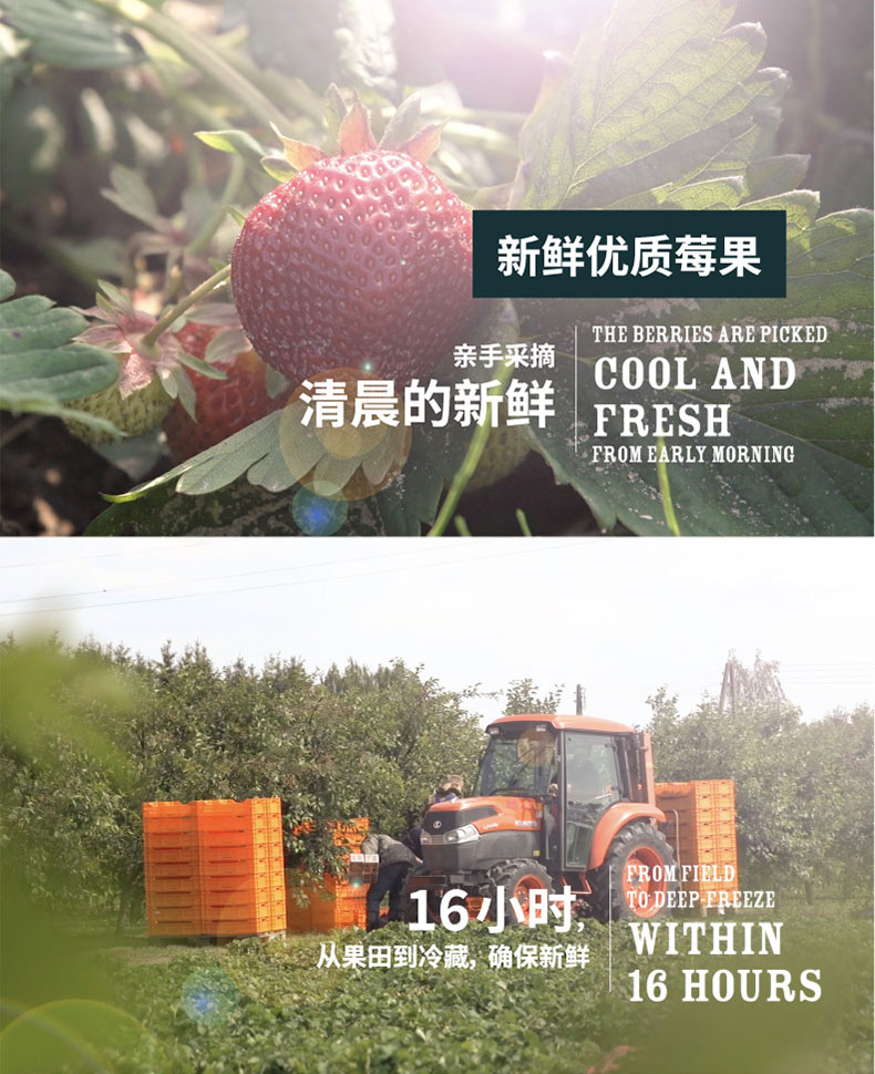 临期特价 丹麦进口 DEN GAMLE FABRIK 大颗粒果酱380g*3瓶 图6