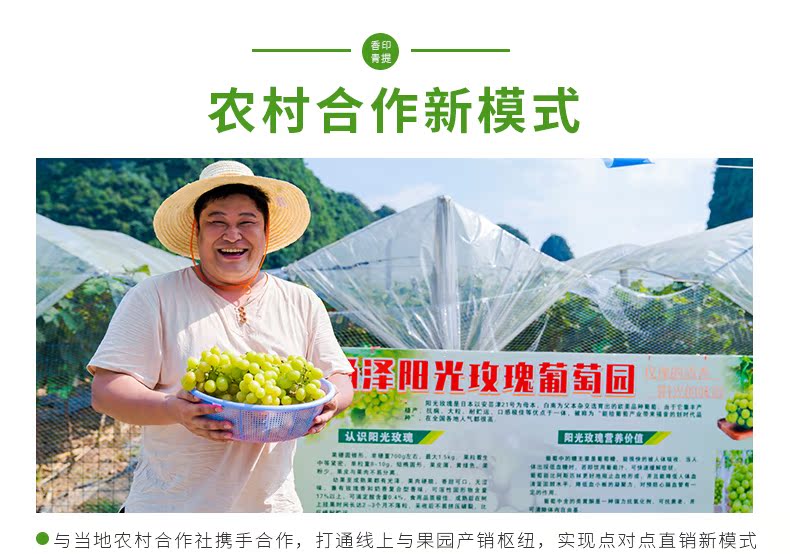 鲜宜芬 A级 阳光玫瑰青提 净重3斤 图9