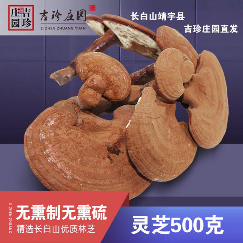 Changbai Mountain Ganoderma lucidum red Reishi with spores semi-wild Ganoderma northeast Ganoderma bonsai non-slices 500 g