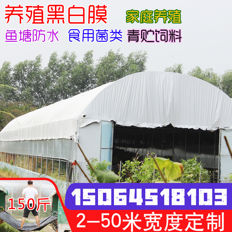 BLACK AND WHITE FILM GREENHOUSE FILM THICKENING BREEDING SPECIAL FILM INSULATED SUN PROTECTION SUNSCREEN HEAT INSULATION MUSHROOM IMPORT REFLECTIVE NO-DROP FILM-TAOBAO