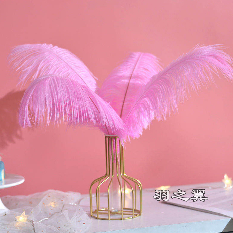 Free Shipping 15-75cm Ostrich Feathers Pink Internet-Famous Feather Wall Photo Props Wedding Decoration Clothing Accessories