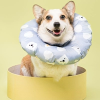 Синий серый/белый медведь