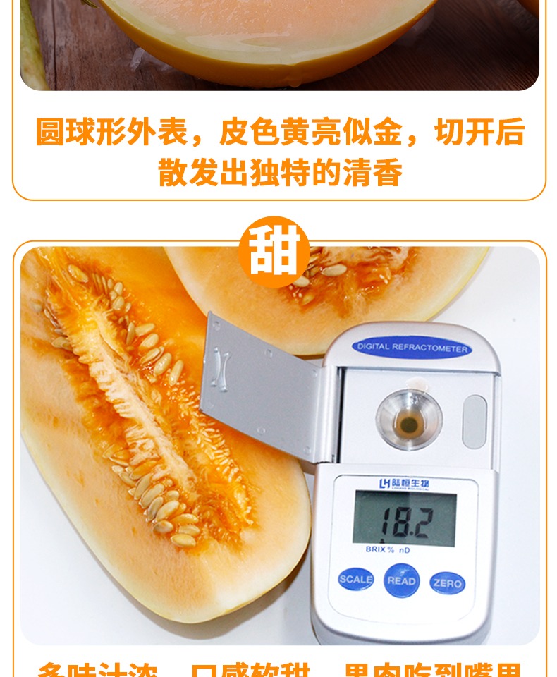 【华北强】黄河蜜瓜甜瓜当季新鲜水果3斤