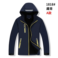 Модель-тибетский цин