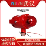 LW5608EX пожарная газета для защиты от пожарной защиты, пожалуйста, проконсультируйтесь, пожалуйста, проконсультируйтесь