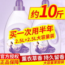 Gold spinning softener Laundry care liquid anti-static whole box wholesale Lavender official flagship store official