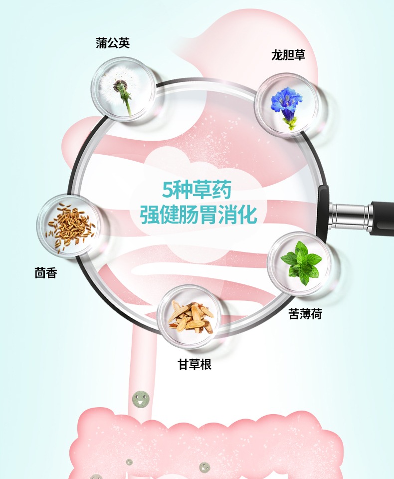 意大利进口ESI纯草本清肠片100粒