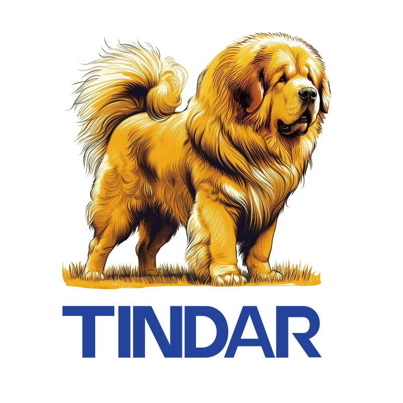 TINDAR服饰企业店