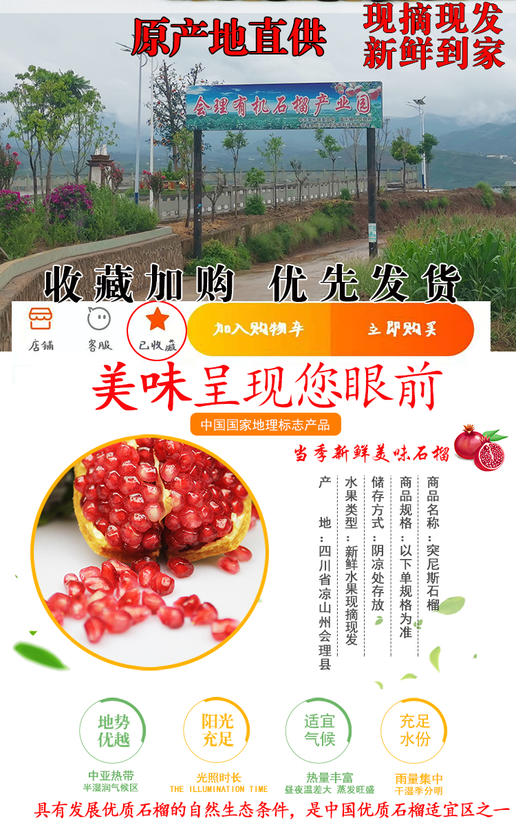 果味集 会理突尼斯软籽石榴 净重5斤 图3