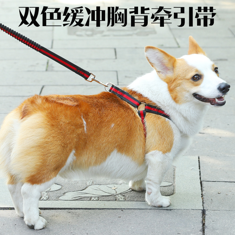 Vest-style dog traction rope teddy small dog bib cuddling with baby bag puppies puppies Dog Rope Dog Chains