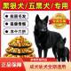 Black Wolf Dog ຫ້າຫມາສີດໍາພິເສດອາຫານຫມາຜູ້ໃຫຍ່ການຫຸ້ມຫໍ່ຂະຫນາດໃຫຍ່ 40 Jin 10 Jin Puppy Dog Food Universal Type Happy Month After