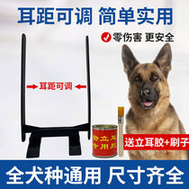 Kokie Liar Divine Instrumental Dogs Stand Ear Instrumental Tokuki Dubimma Dog Leizhou Red Kasrobo Mei Young Dog Dog