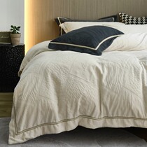 Milk Suede Four Pieces Winter Coral Suede 2021 New Tide Autumn Winter Linen Double Face Gushed Bedding Bed Bedding