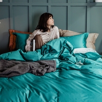 Four-piece set cotton pure cotton light luxury wind 100 satin simple plush quilt cover Solid color sheets Bedding