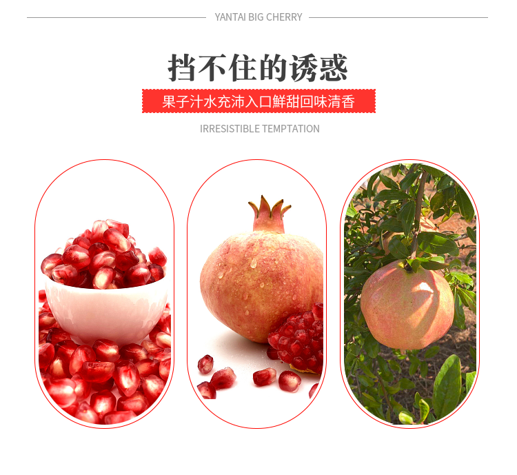 食果侠 突尼斯软籽石榴 净重9斤 图3