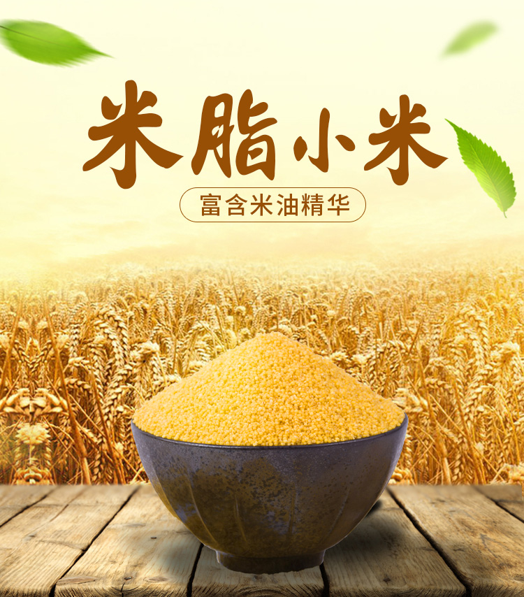 黄小米月子小米杂粮山西小米500g