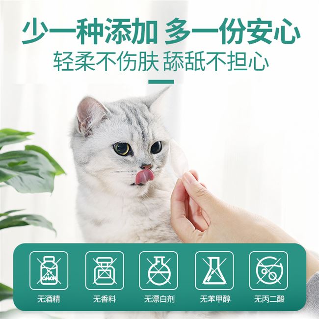 Dụng cụ lau mắt cho chó, thú cưng, mèo - Cat / Dog Beauty & Cleaning Supplies