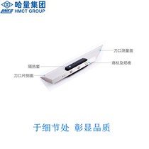 Haliang 0-level knife edge straight ruler flat ruler 225 250 300mm plane detection elevator guide gauge