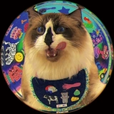 Gulu gulu: ковбойский шарф со слюной в средневековом стиле, украшение для домашних животных, нагрудник и галстук-бабочка для кошек, собак и маленьких собак.