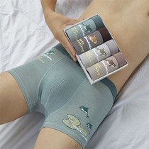 Teenagers 15-year-old 12 boys cotton junior high school students 13 Fat Boys 16 plus fat to increase the middle and large children 14 schools