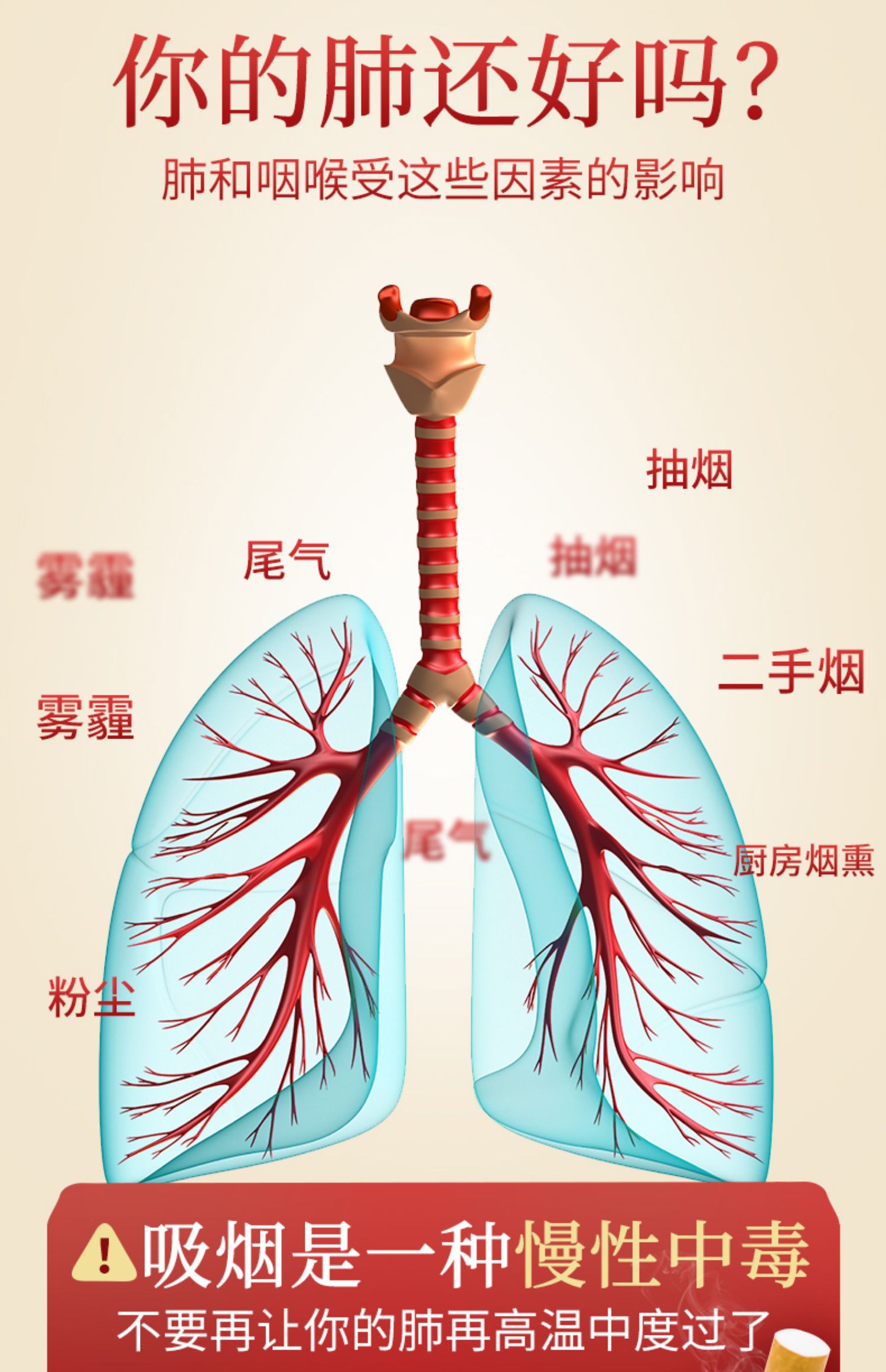 【北京同仁堂】菊花决明子茶30袋