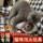 Огненные игрушки для кошек, коты-самцы, игрушки для спаривания, самостоятельный секс, сон с домашними животными, куклы для спаривания во время течки, чтобы развеять скуку mini 0