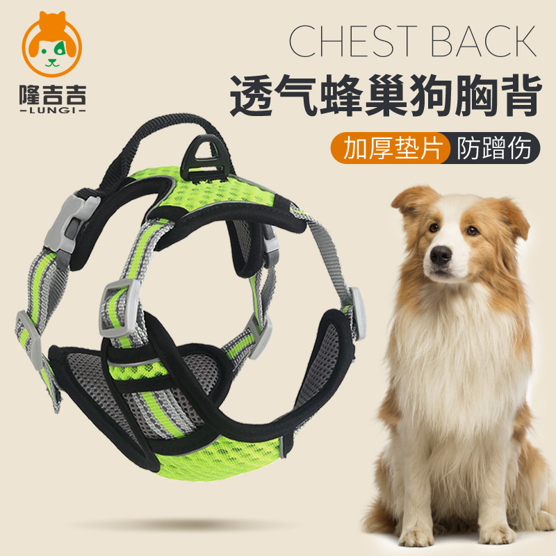 Dog Leagline Pet Large and Medium Small Dog Teddy Golden Trail Collar Chest Baby Bag Go Out to Walk Dog Chain