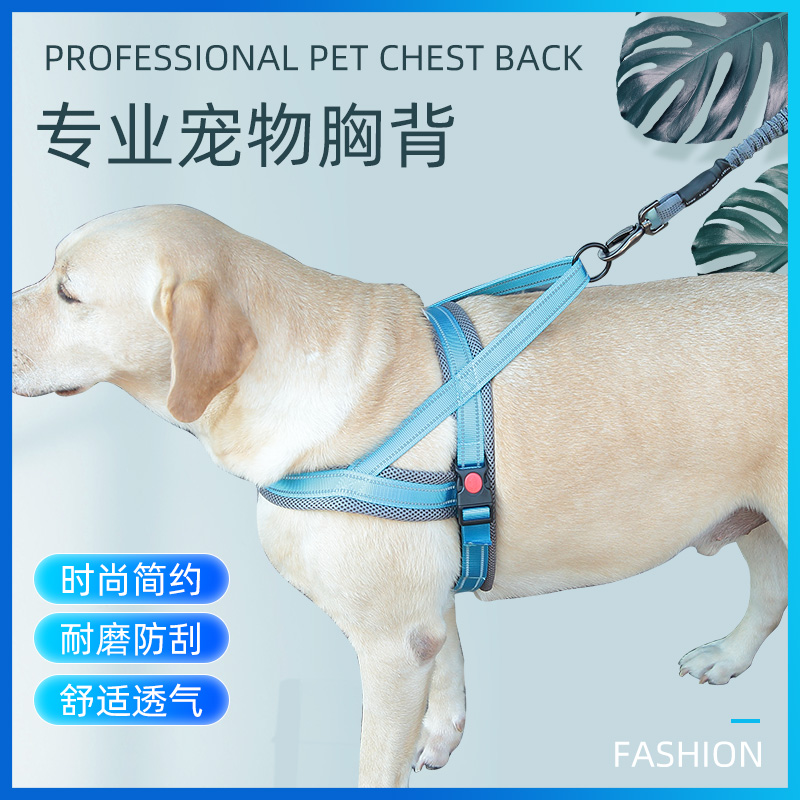 Pooch Breast Cuddling Bag Small Medium Sized Large Dog Explosion Punching Border Shepherd Dog Gold Mound Dog Vest Type Walking Dog Pet Supplies