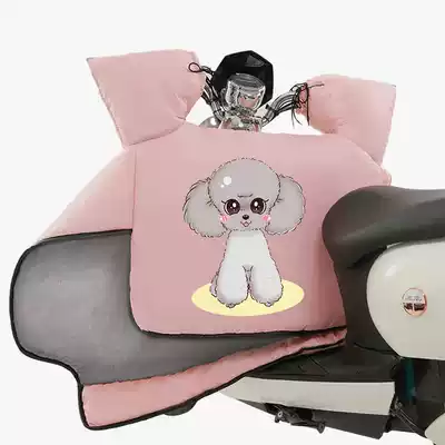 Electric car windshield is winter 2020 new wind shield cold waterproof sunscreen thickened cashmere battery cartoon