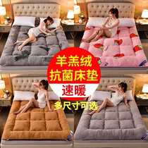 Mattress Student Dorm Room Single Plush Special Blanket Thickened Winter Bedding Mat Bedding Bedding Bunk Bed Lamb Suede Double