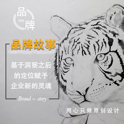 Brand planning whole case company profile Cultural activities planning promotional copywriting PPT for brand stories