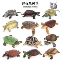 Static Solid Emulation Marine Animal Tortoise Model Mini Uturtle Tortoise Turtle Turtle Fish Tank Decorative Accessories Pendulum