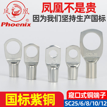 Phoenix Sc2.5/4/6/8/10/16/25/35/50 Terminal Block Copper Lug Connector with Viewing Port