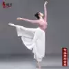 Classical dance suit Women's elegant suit Latin dance top Teacher's special teacher practice suit Body training clothing