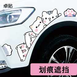 Zhuo Stickers Cartoon Cat Personalized Scratch Blocking Decorative Wheel Eyebrow Stickers Front and Back Bumper Stickers
