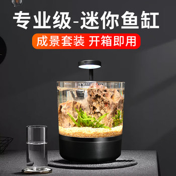 Small Ecological Fish Tank for Living Room, Integrated Filtration and Oxygenation Machine, Desktop Mini Betta Fish Home Aquarium, Submersible Cat