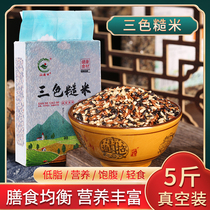 Three-color Rough Rice Slimming Special 0 Fat Five Grain Coarse Grain Cereals Mix Staple Food Slimy-Fat Diet Foods No Sugar