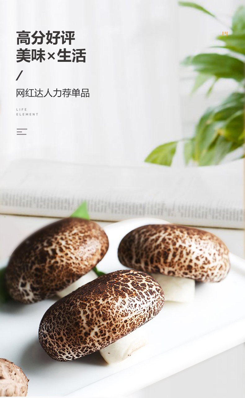 北记 烧肉蘑菇包 400g*2件 图3