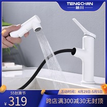 Japanese Fujisawa T113 pull-out washing tap full copper surface basin shower head hot and cold faucet table basin