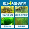 Algae Remover Specifically for Fish Ponds, Does Not Harm Fish, Removes Green Water, Aquarium Green Algae and Moss Remover, Magic Agent for Brown Algae and Duckweed