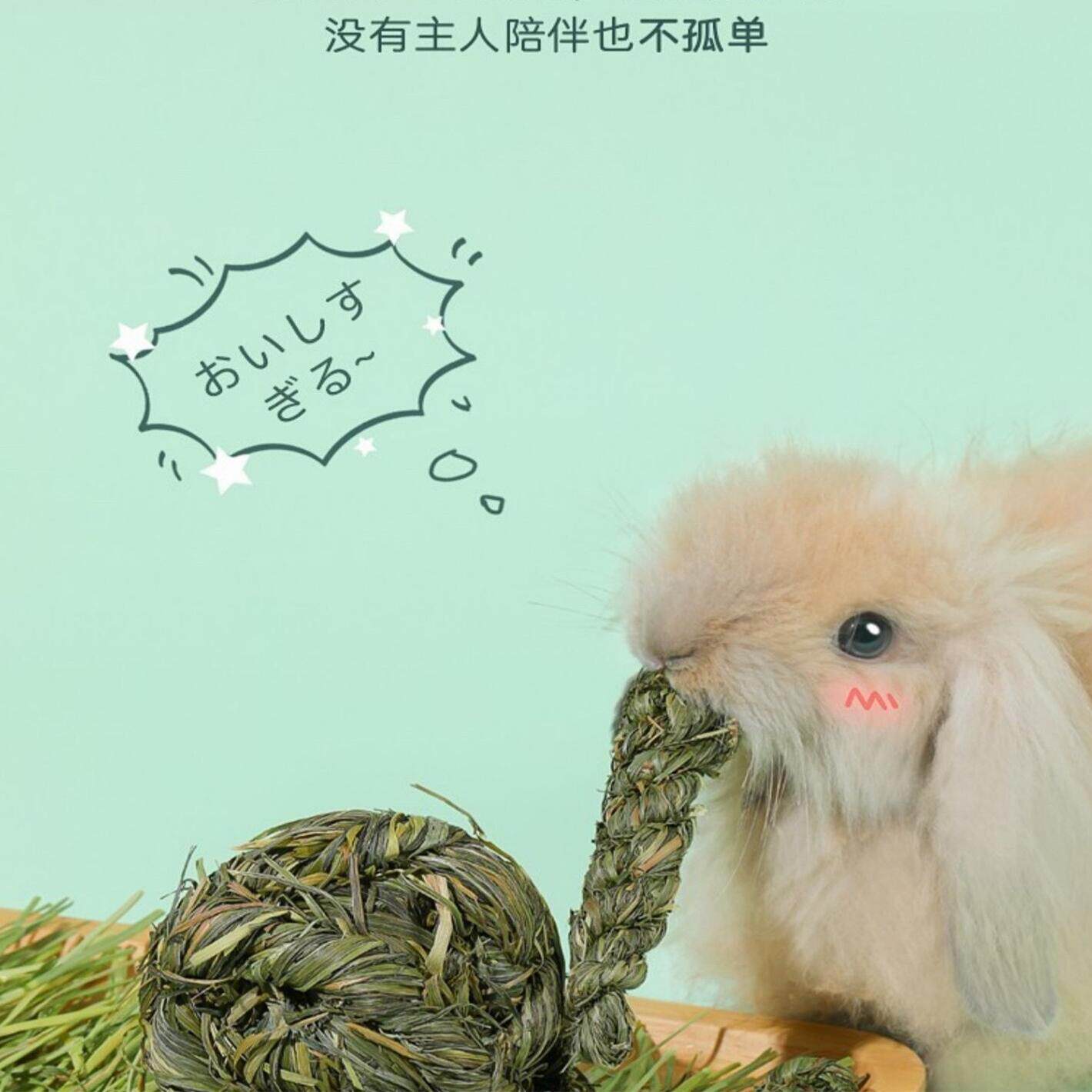 兔子磨牙玩具