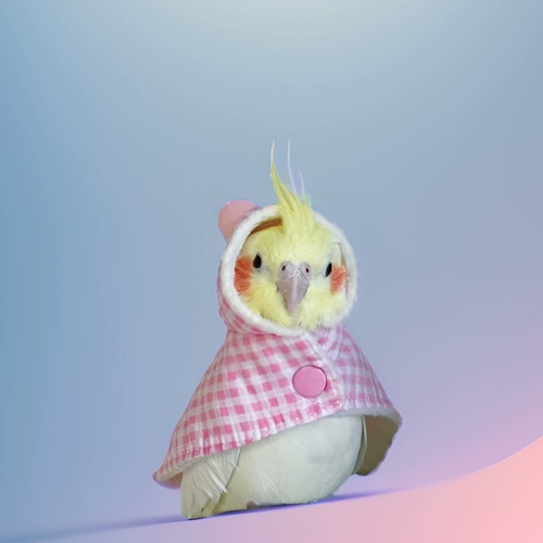 Утепленный плащ для выхода на улицу