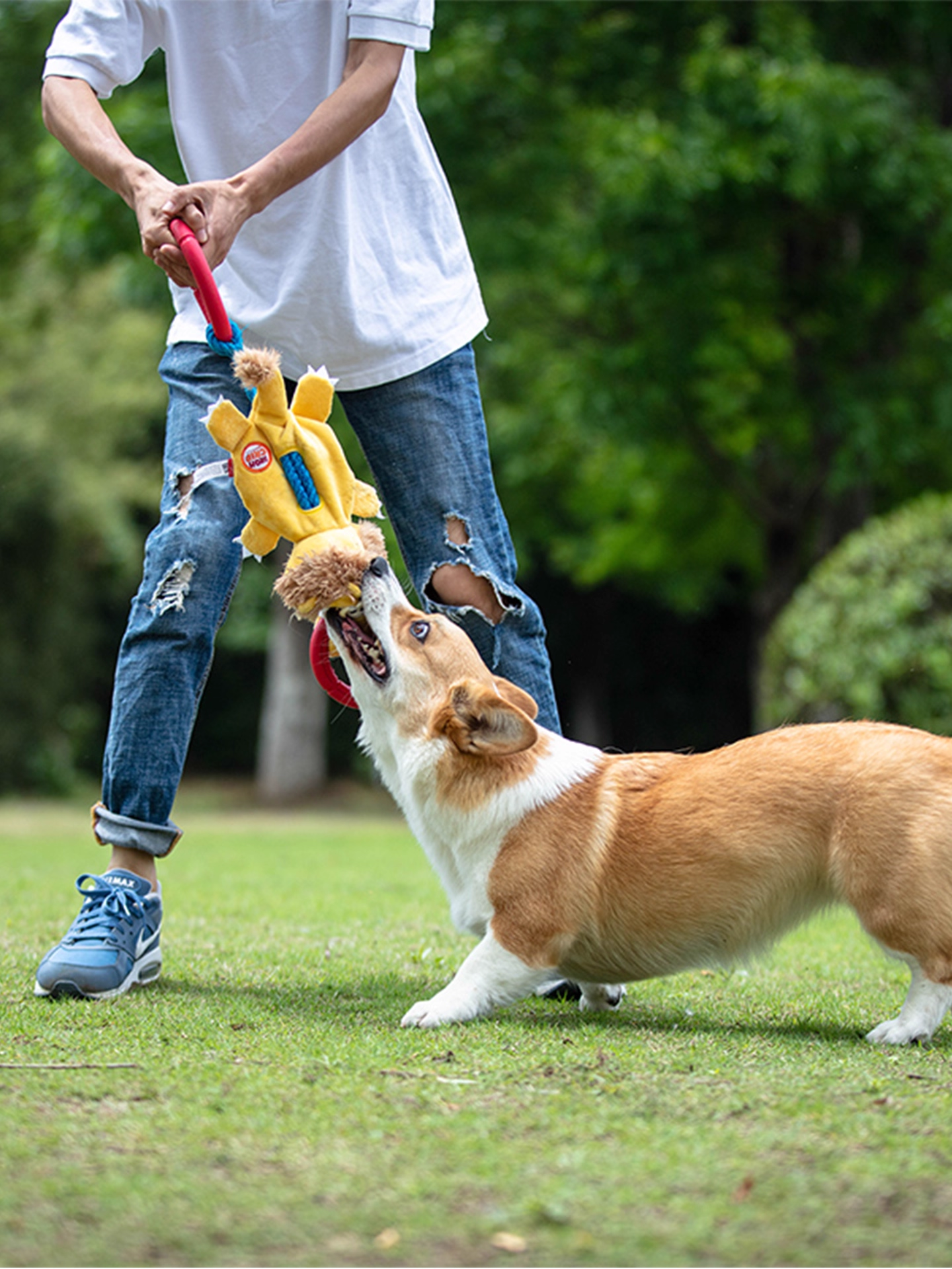 Dog Toy Pull Ring Tug-Of-War Plush Rubber Toy Durable Chew-Resistant Self-Entertainment Boredom Buster Pet Toy with Sound