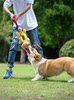 Dog Toy Pull Ring Tug-Of-War Plush Rubber Toy Durable Chew-Resistant Self-Entertainment Boredom Buster Pet Toy with Sound