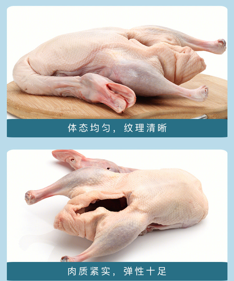 依禾农庄  散养土鸭子 2斤*3只 天猫优惠券折后￥59.9包邮（￥79.9-20）