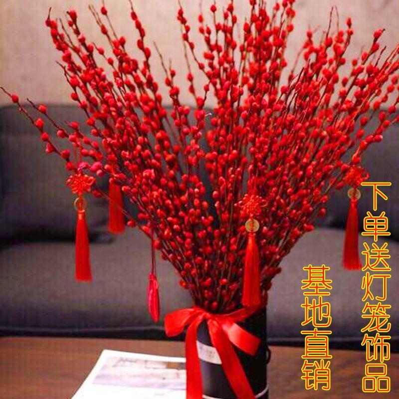 Lucky Silver Willow Dried Flowers Real Flowers Fresh Branches Hydroponic Plants Red Silver Willow New Year's Eve Flower Blessing Bucket Living Room Interior Decoration