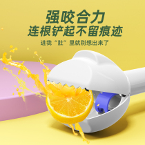 A special pat on the cost of the supplement