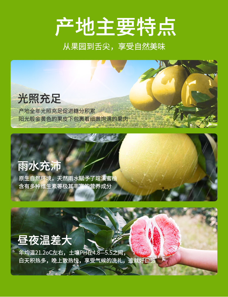 福建平和琯溪 红心柚子 净重4.5斤 2个 图11