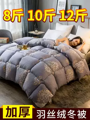 10 Jin velvet quilt autumn and winter quilt cotton bedding thickened warm spring and autumn quilt single student dormitory