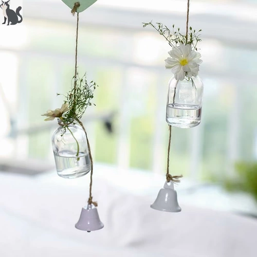 , Зеленое растение гидропонное растение стеклянное подвеска